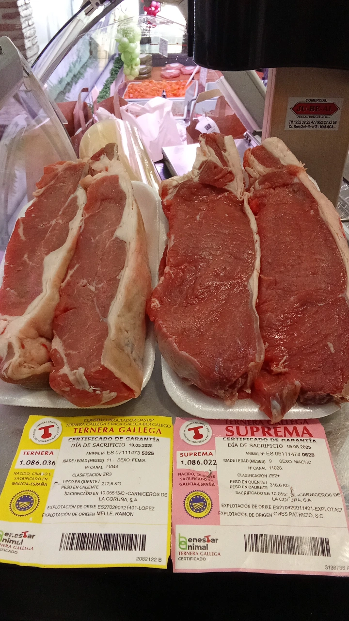 Mi Tienda WhatsApp IMG_20250530_161402_275.webp