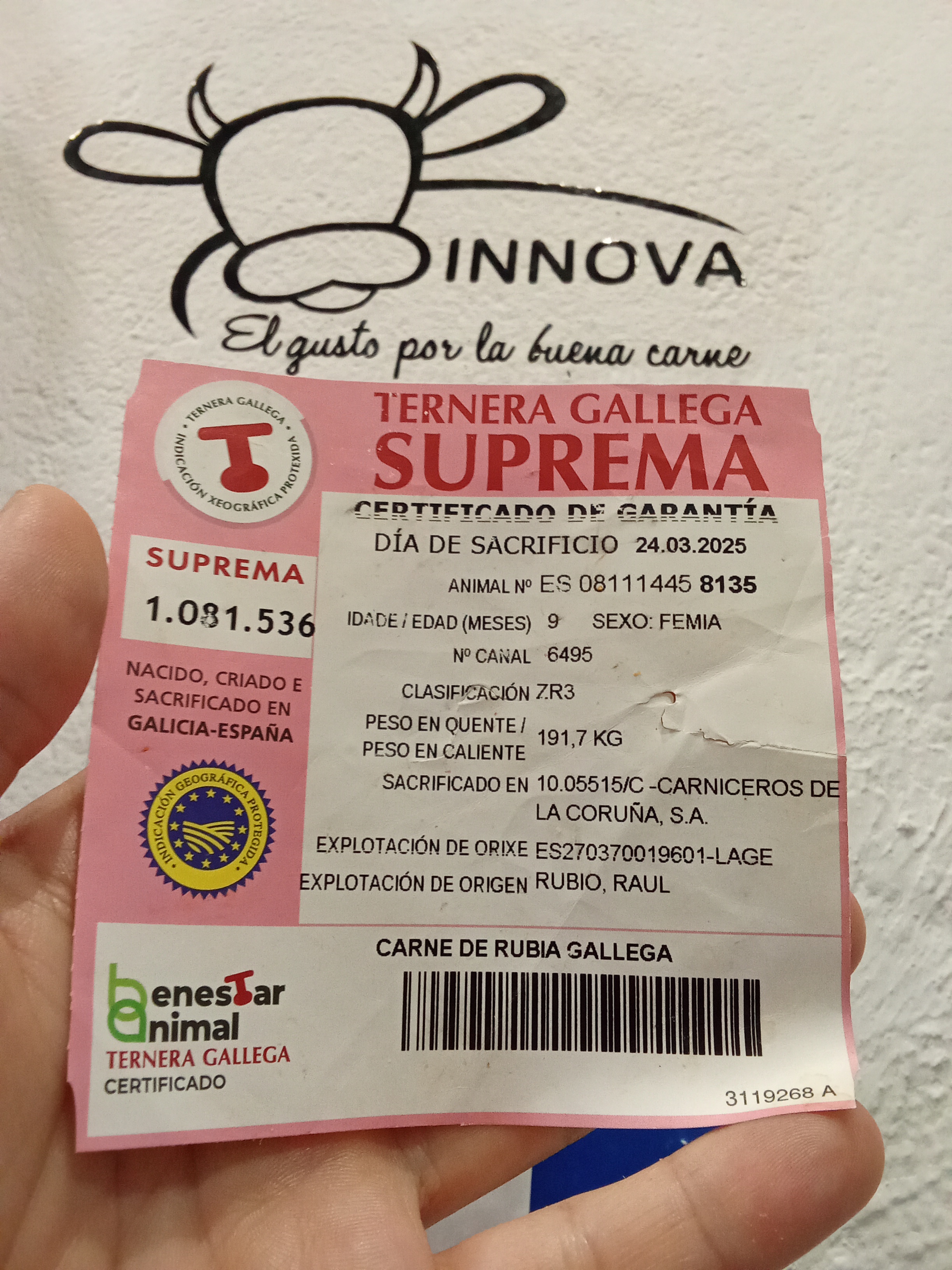 Mi Tienda WhatsApp IMG_20250723_100144.jpg