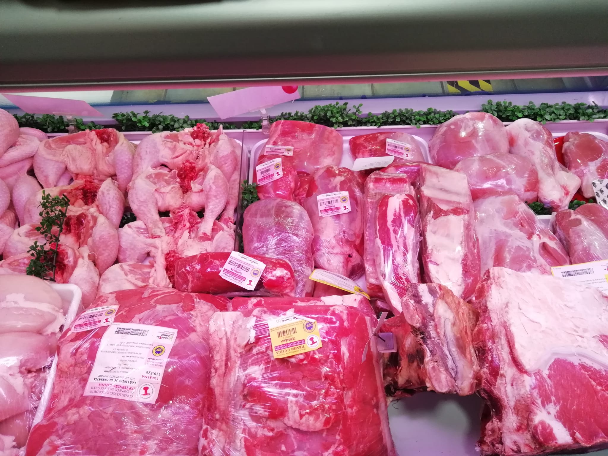 Mi Tienda WhatsApp 8.jpeg