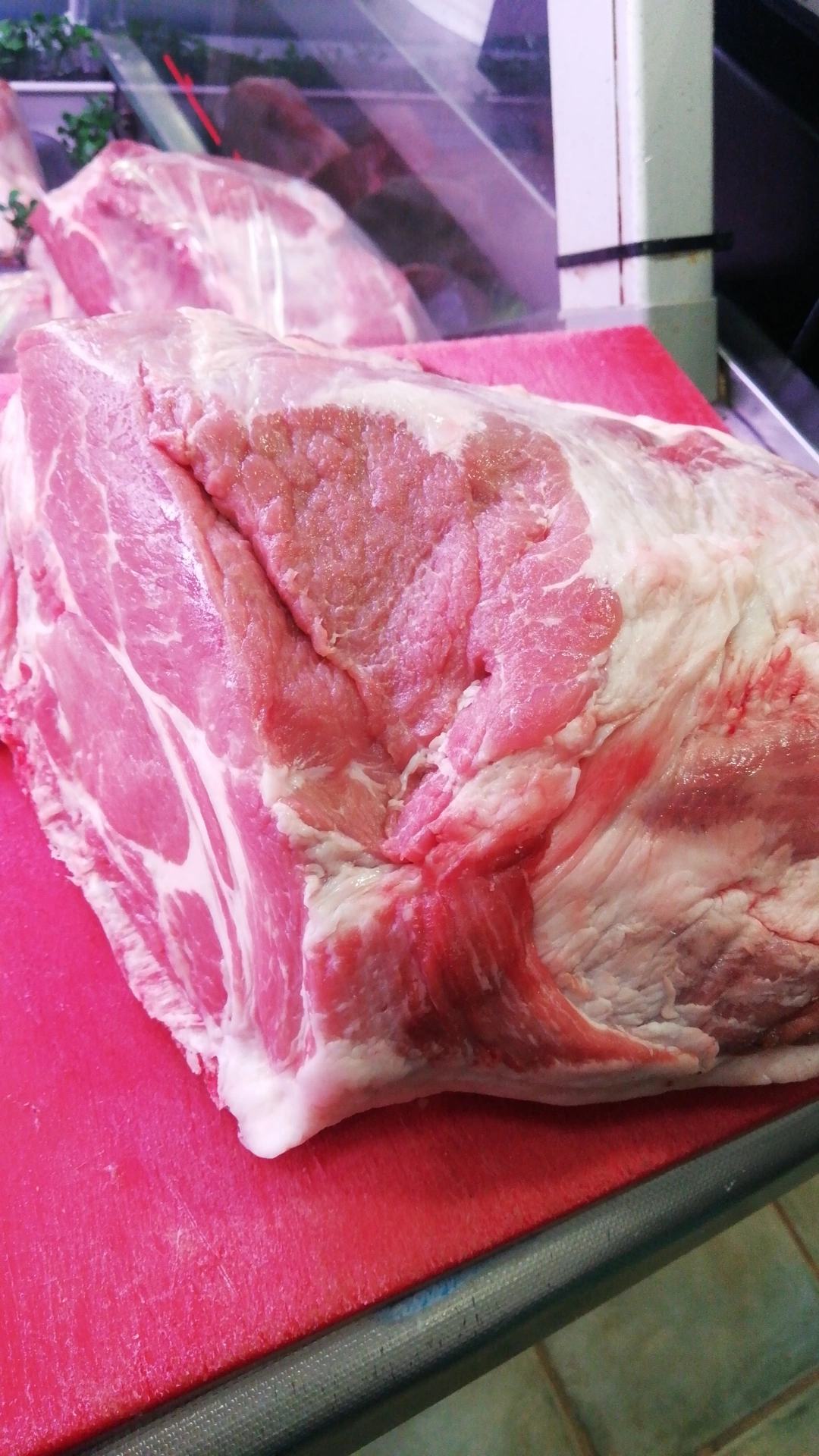 Mi Tienda WhatsApp IMG_20240125_120806_180.webp,IMG_20240125_121207_868.webp,IMG_20240125_120613_700.webp