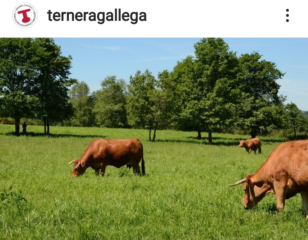 Mi Tienda WhatsApp 05.jpg